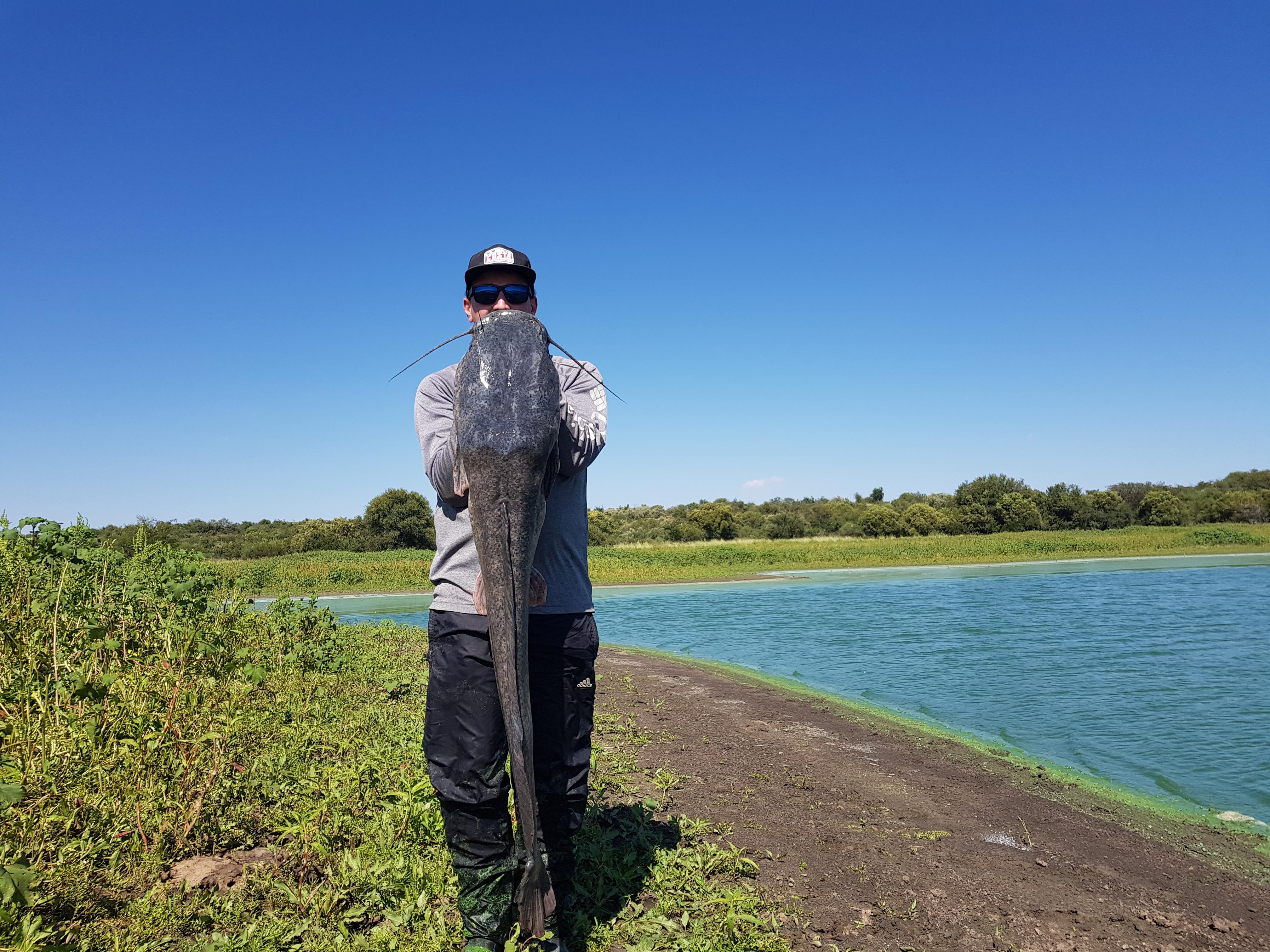 South African catfish on fly! | Scrolller