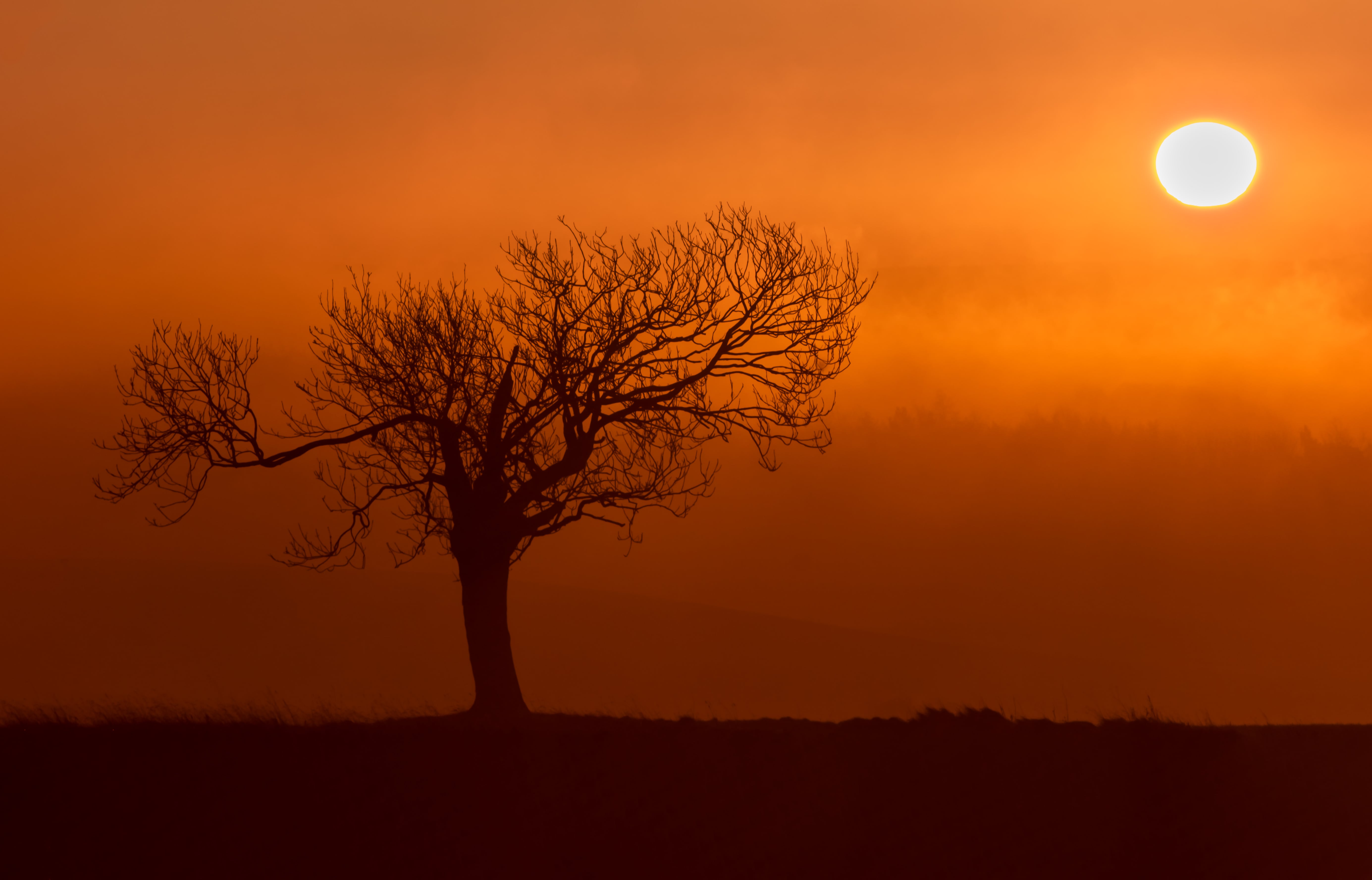 Sunrise Sentinel Scrolller