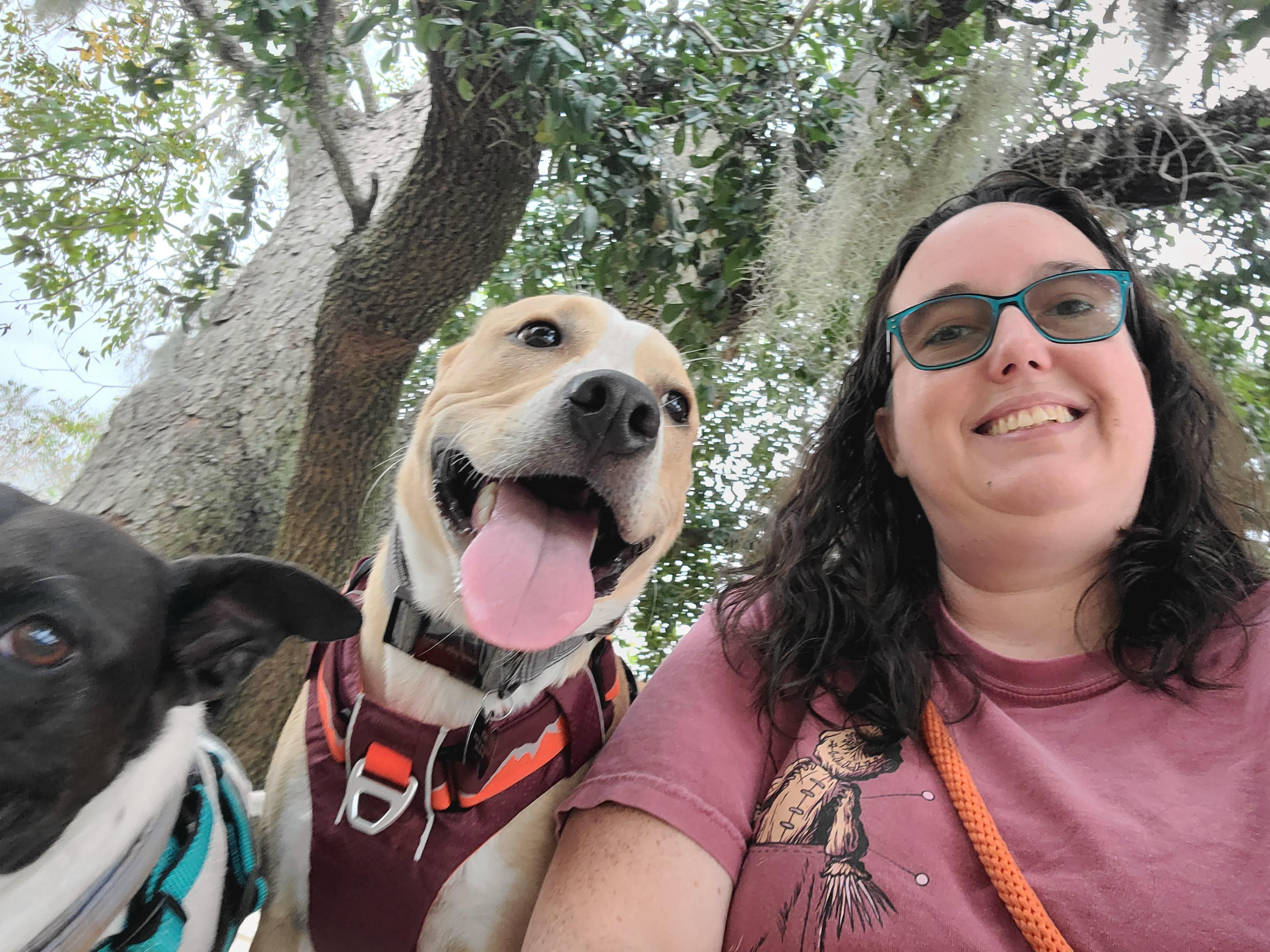 Tate's first trip to the dog park Scrolller