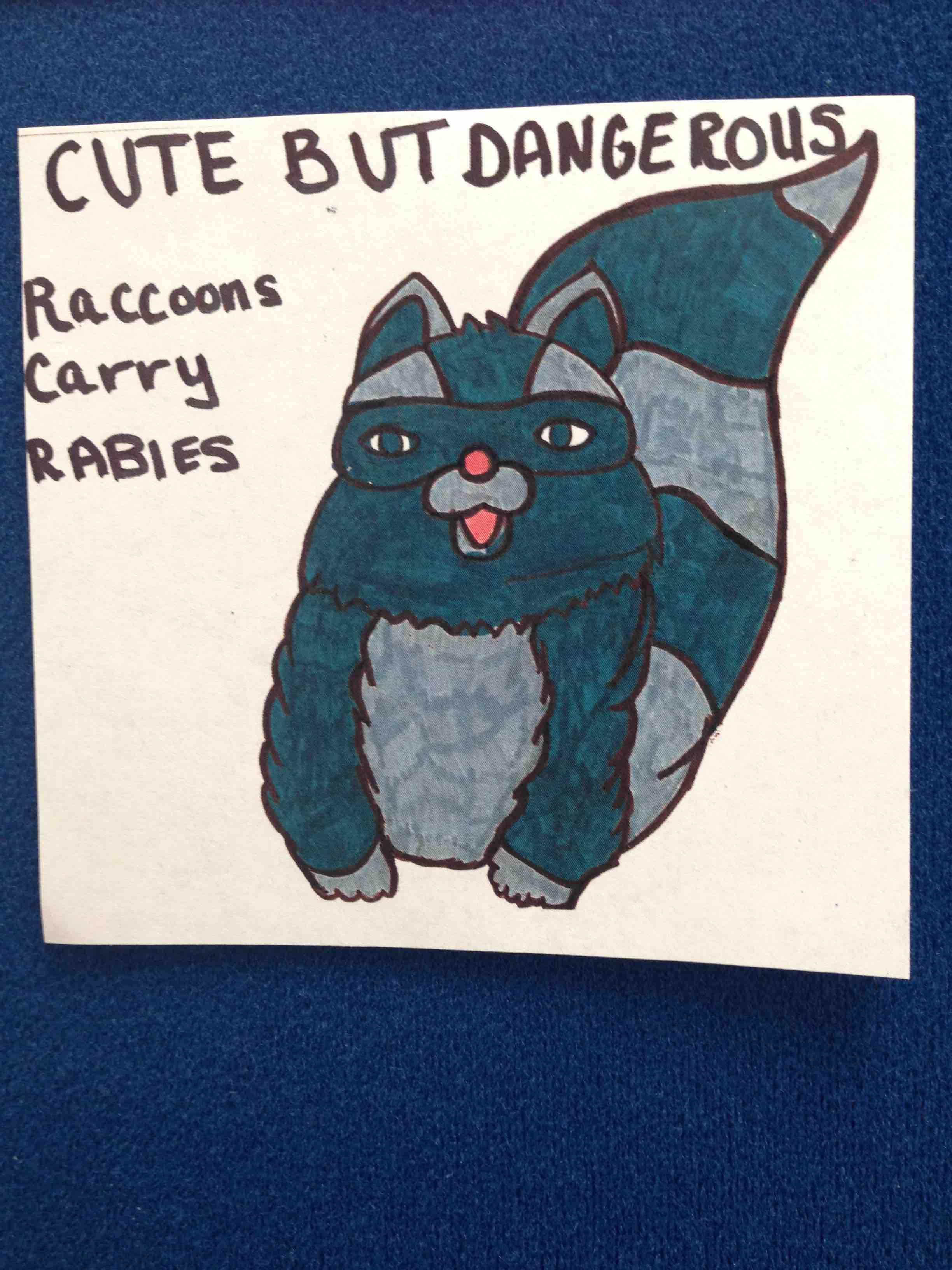 The best children's entry to the state rabies awareness campaign ...