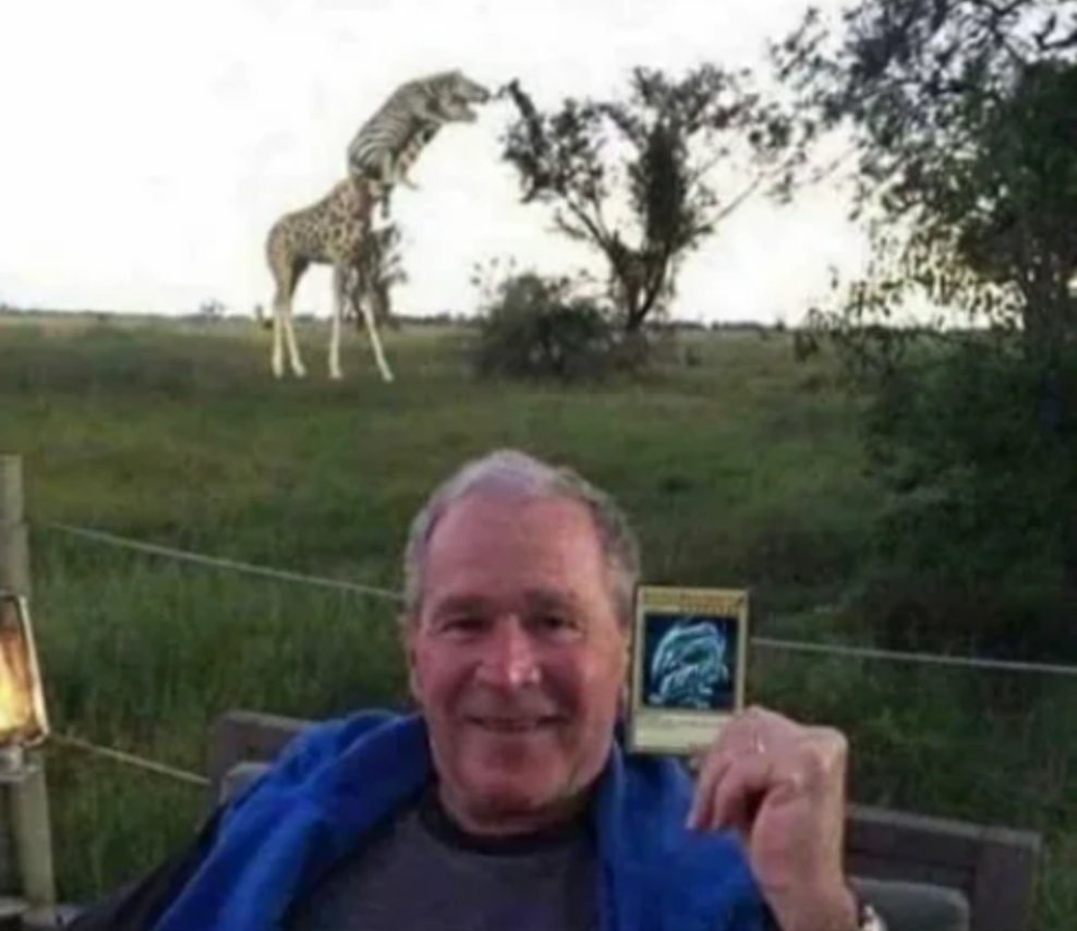 The bush the media doesn't want you to know Scrolller