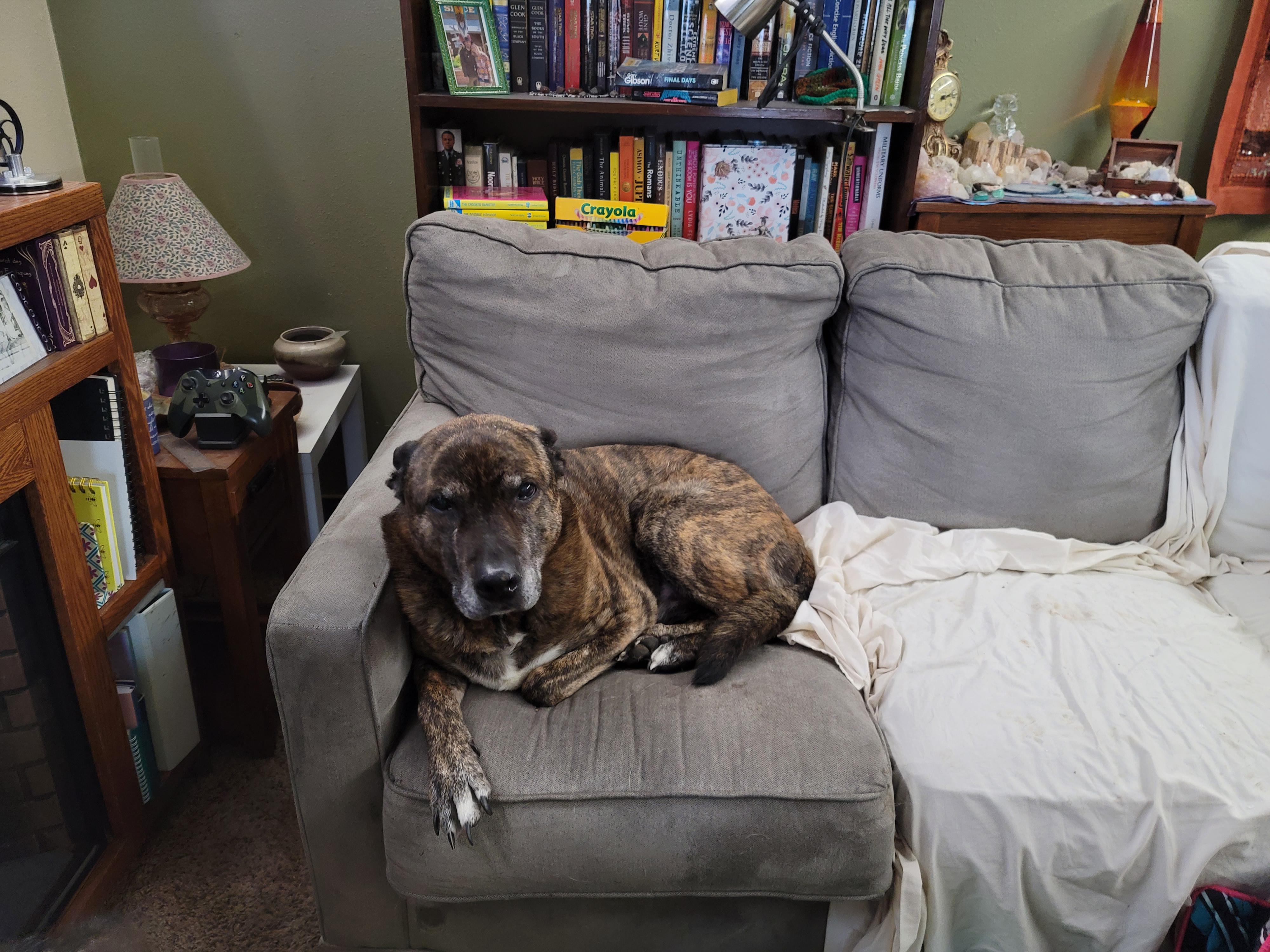 The disappointment on this old man's face when he finds out its snowing