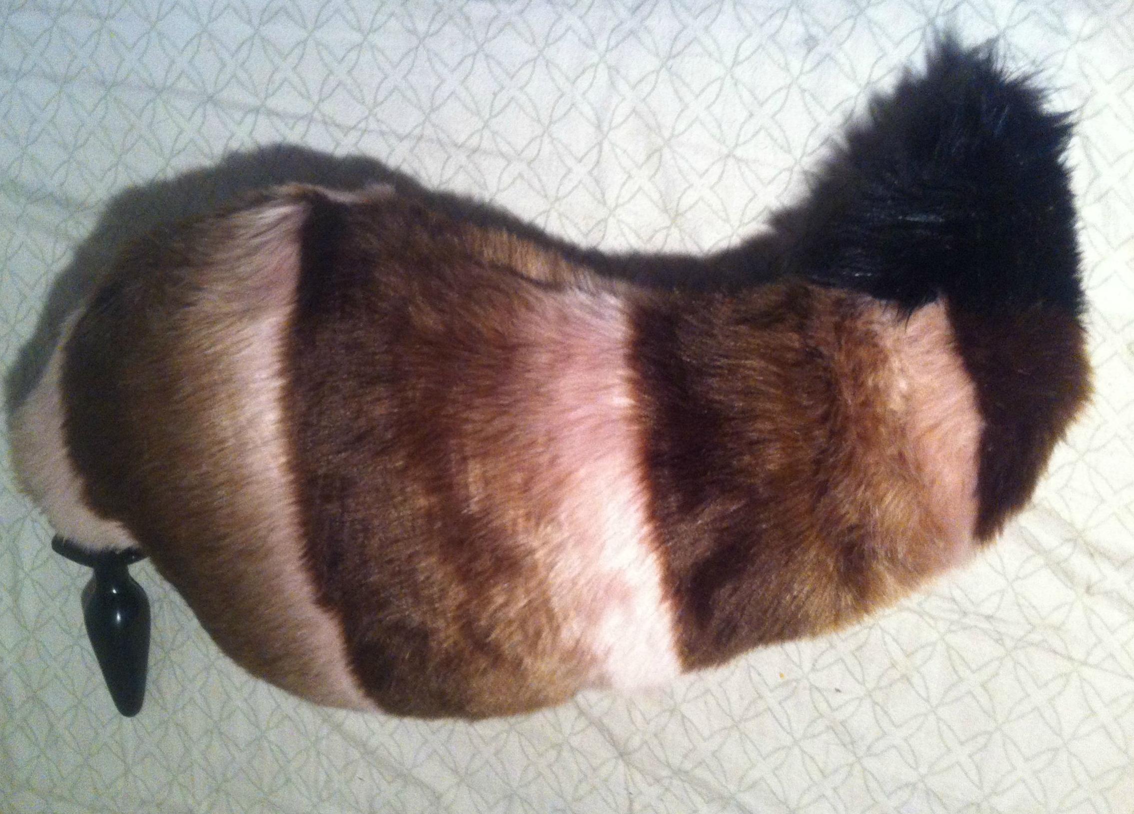 the hand made fox/wolf tail plug my kitty made went for more of a ...