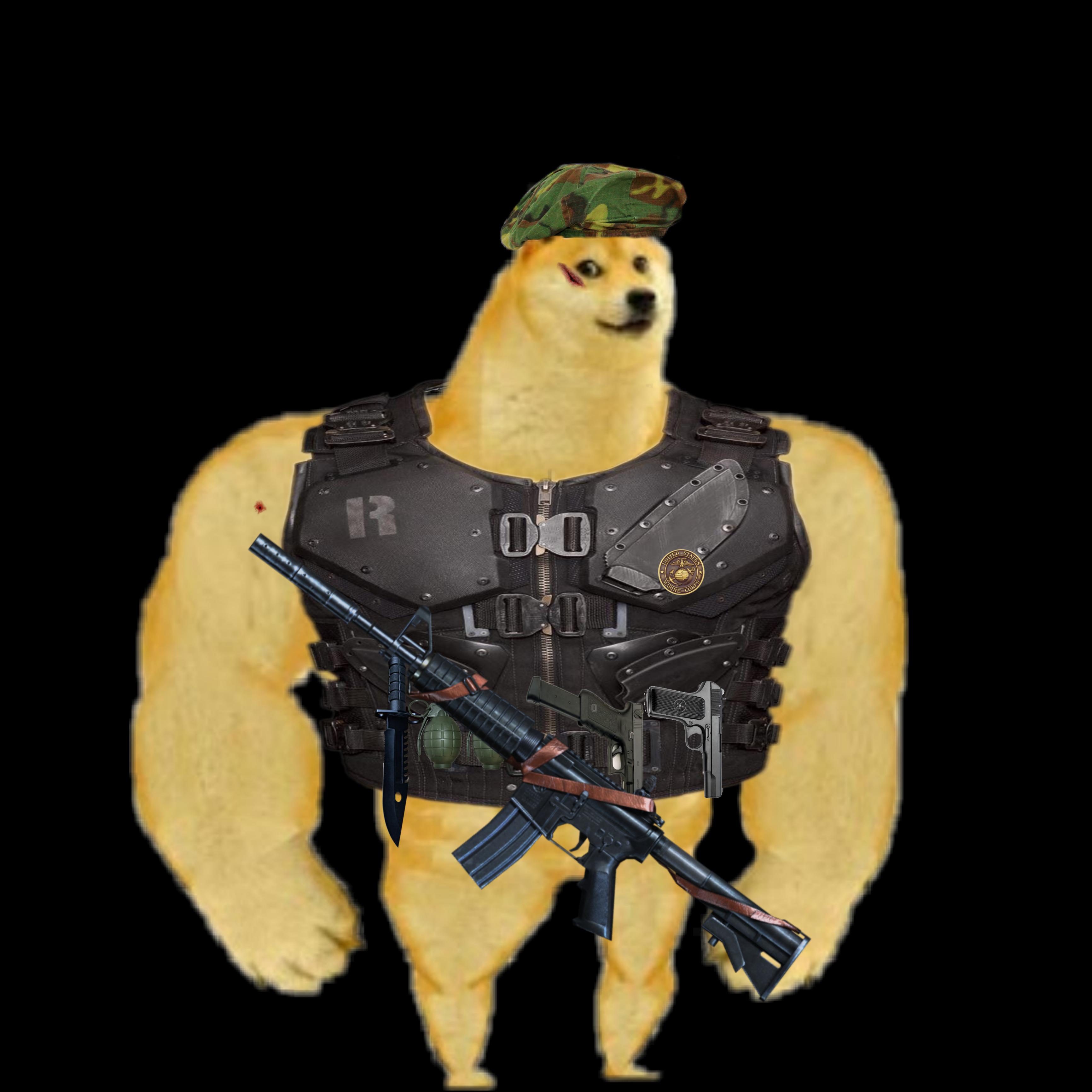 The Human Shield. Lt.General Doge Template | Scrolller