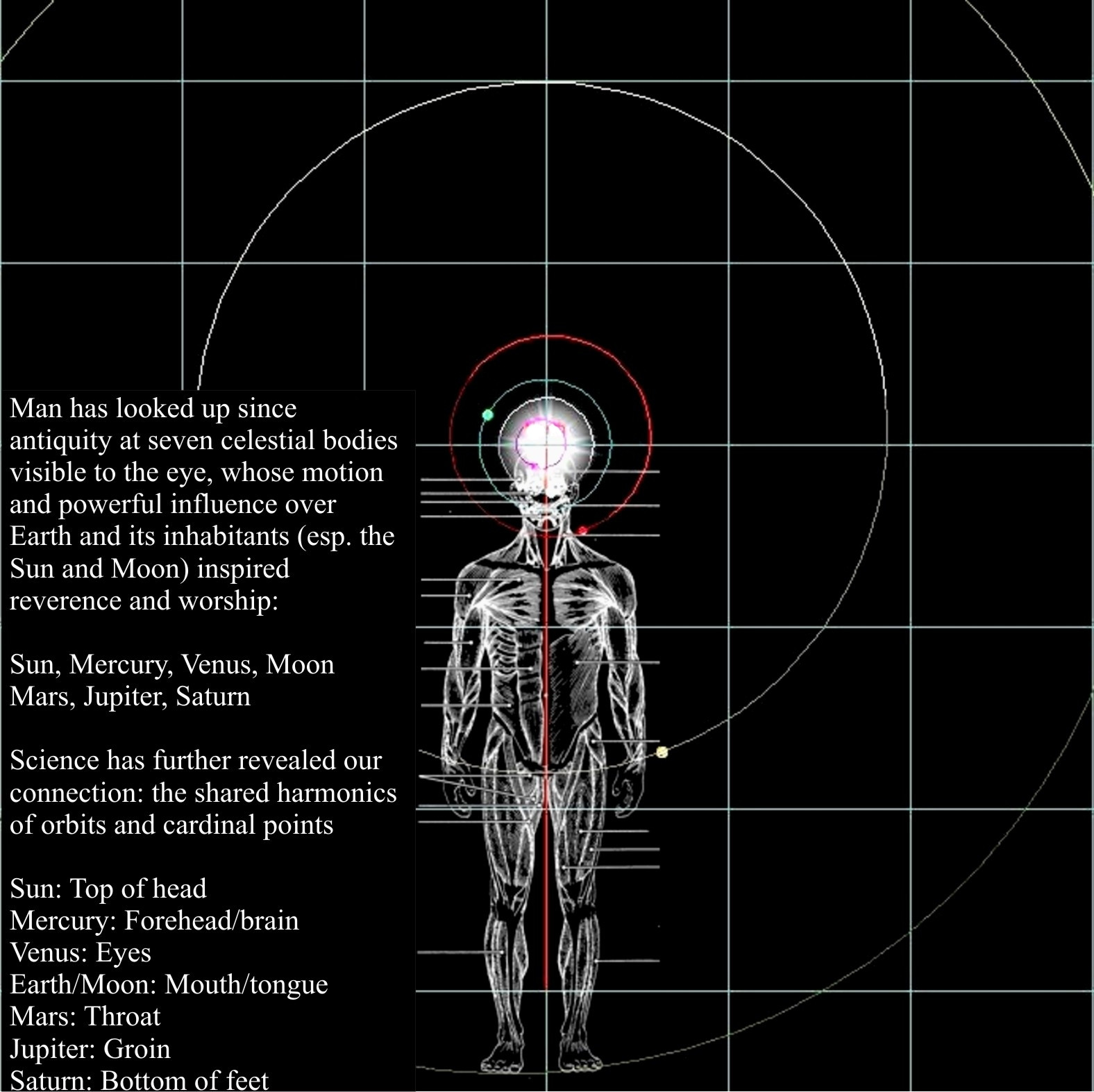 The solar system has same ratio as the human body | Scrolller