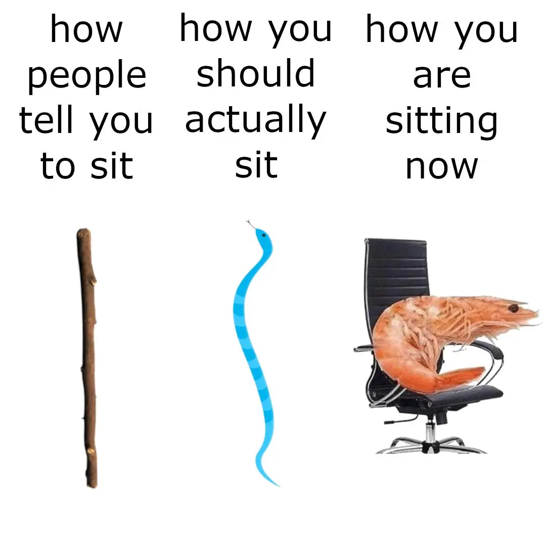 Snake Meme Monday