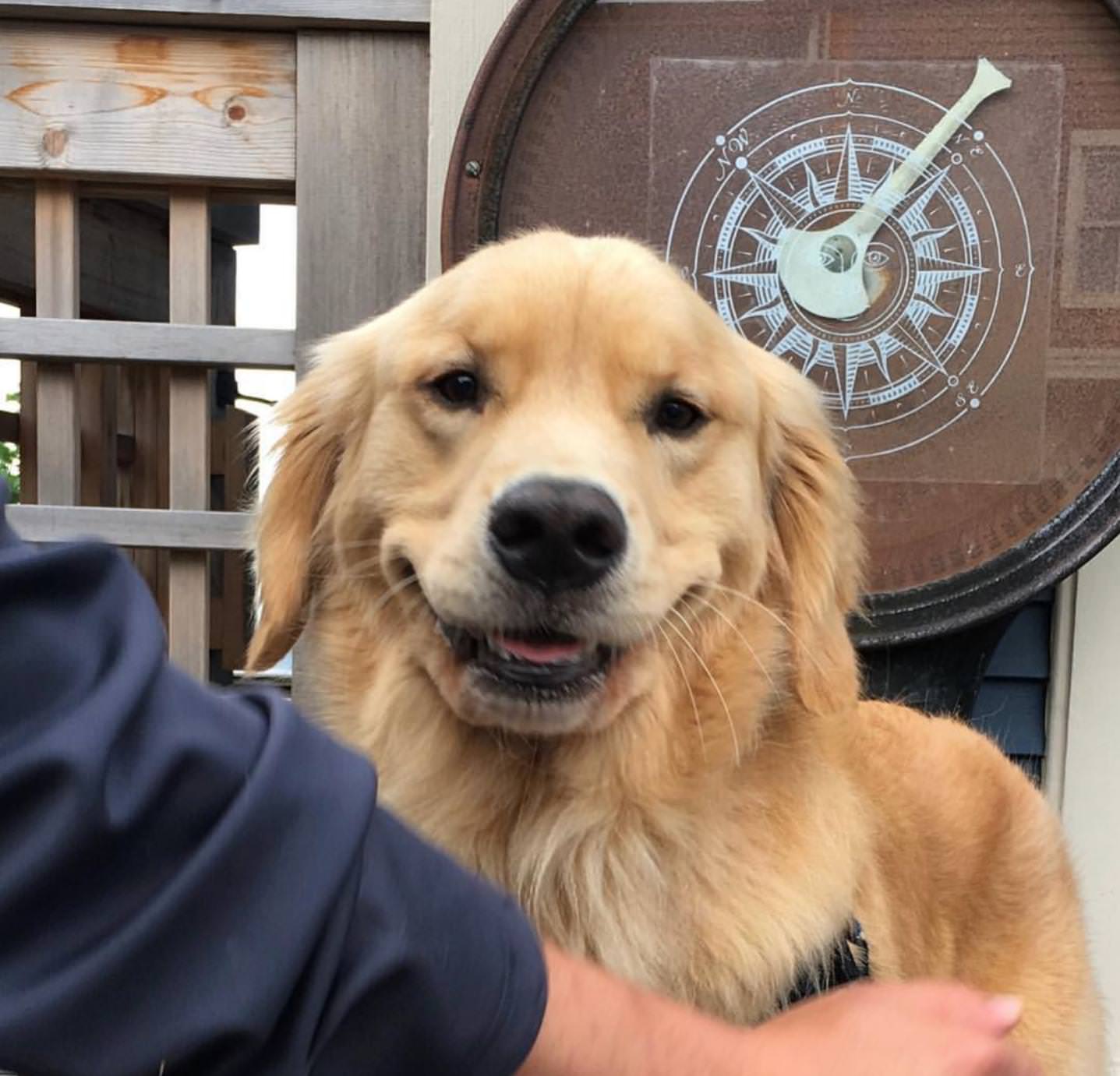 The warmest smile you'll see today Scrolller