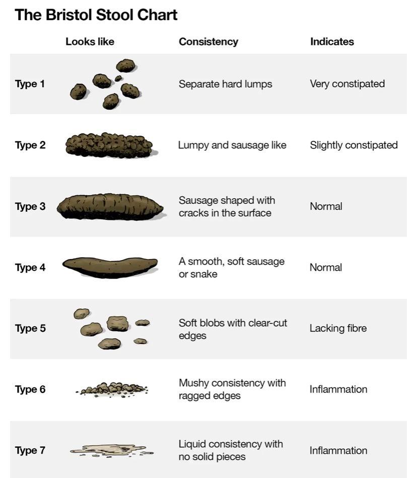 This chart shows different types of poo and what it indicates. | Scrolller