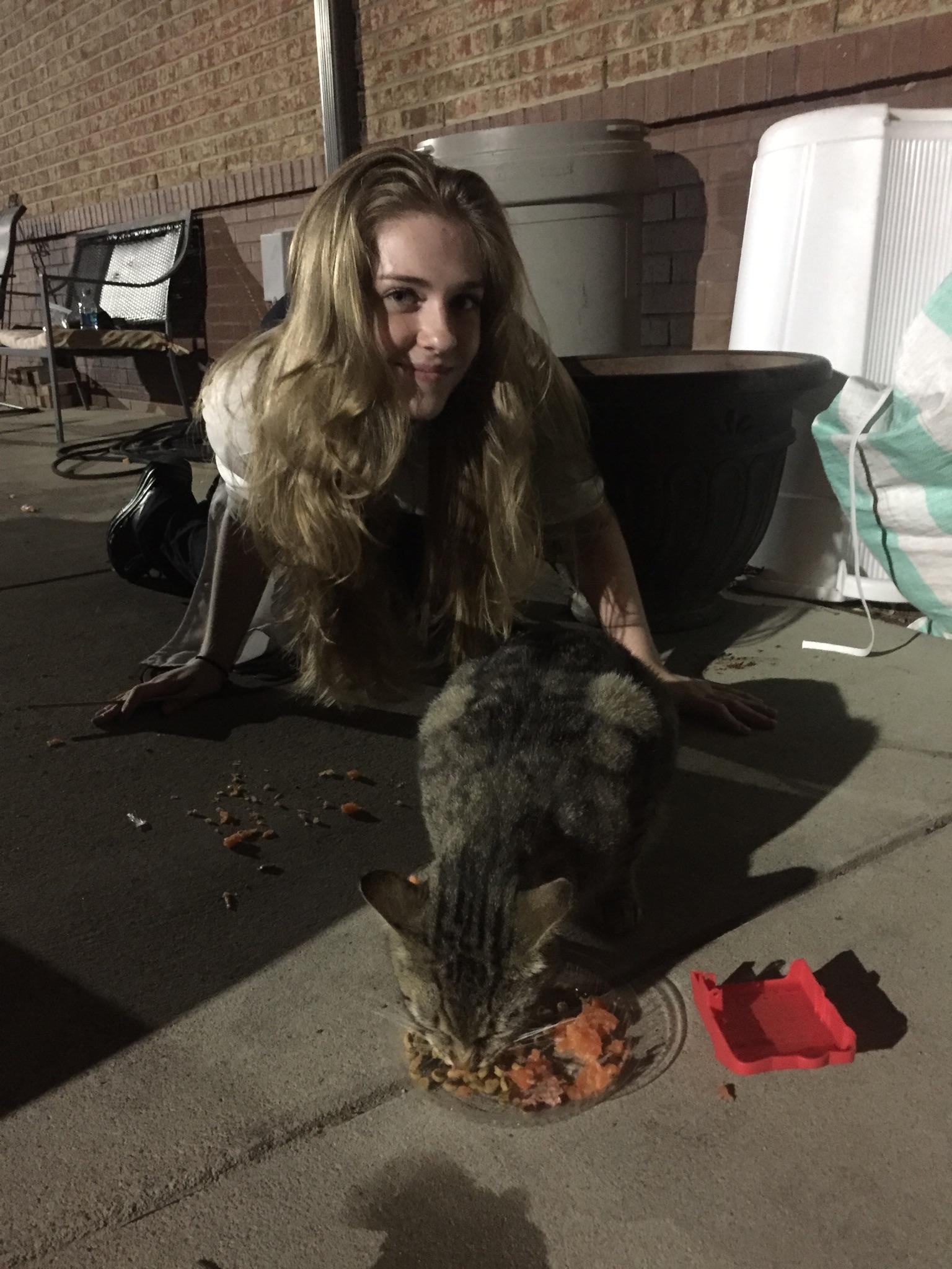 This is my work cat, sphincter. He loves me because I feed him and give