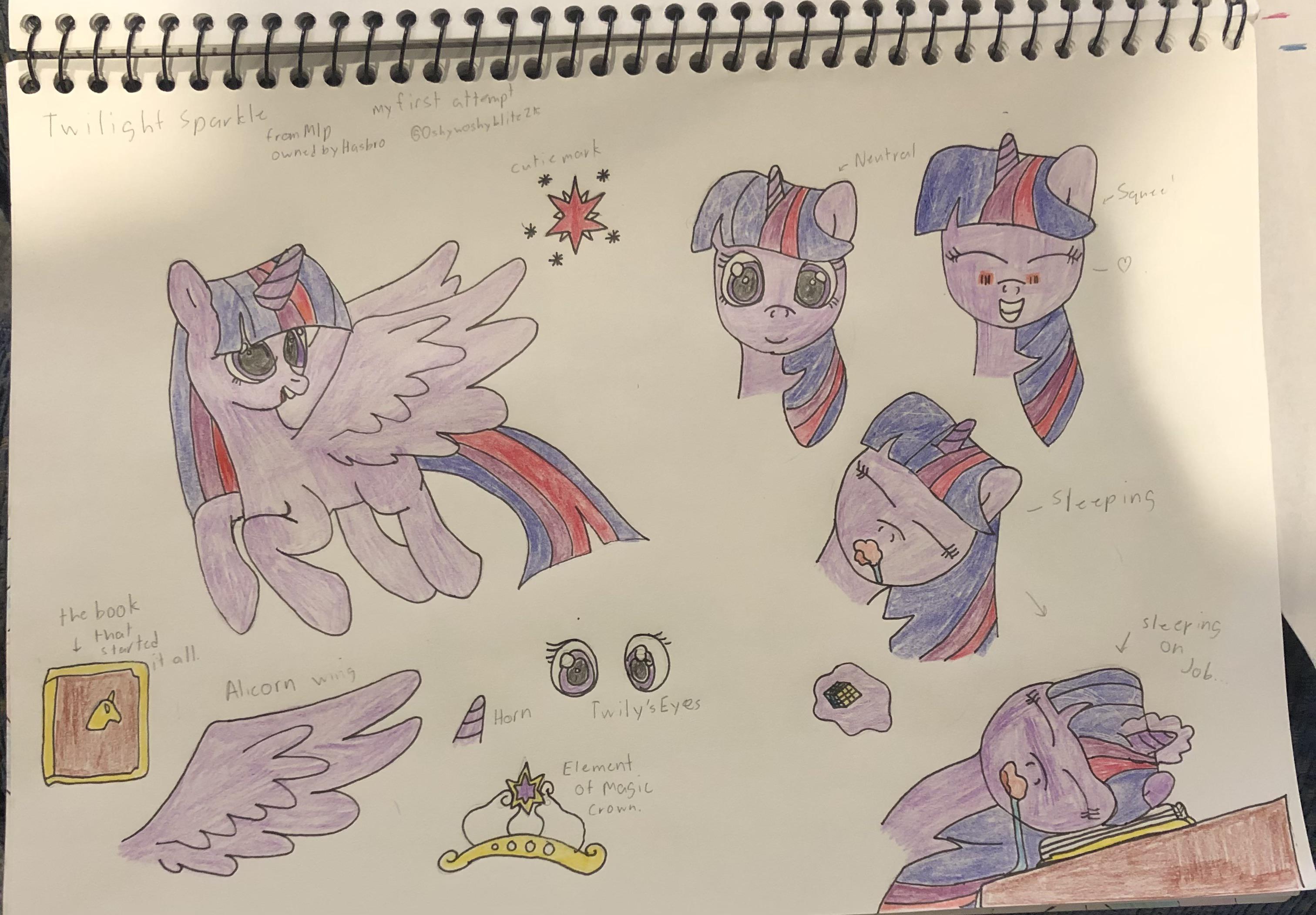 This Is Princess Twilight Sparkle Artworkmade By Me Please Comments Down Below If You Like It