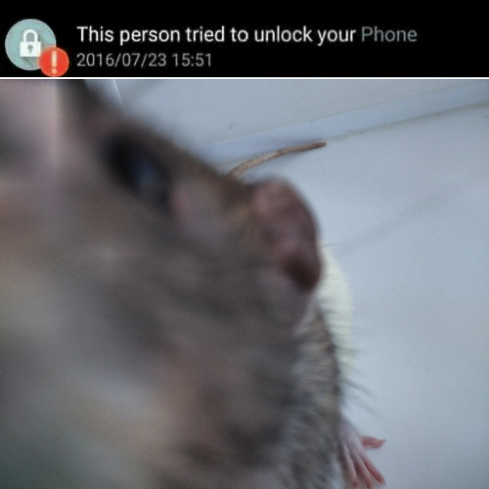 "This person tried to unlock your phone" Scrolller