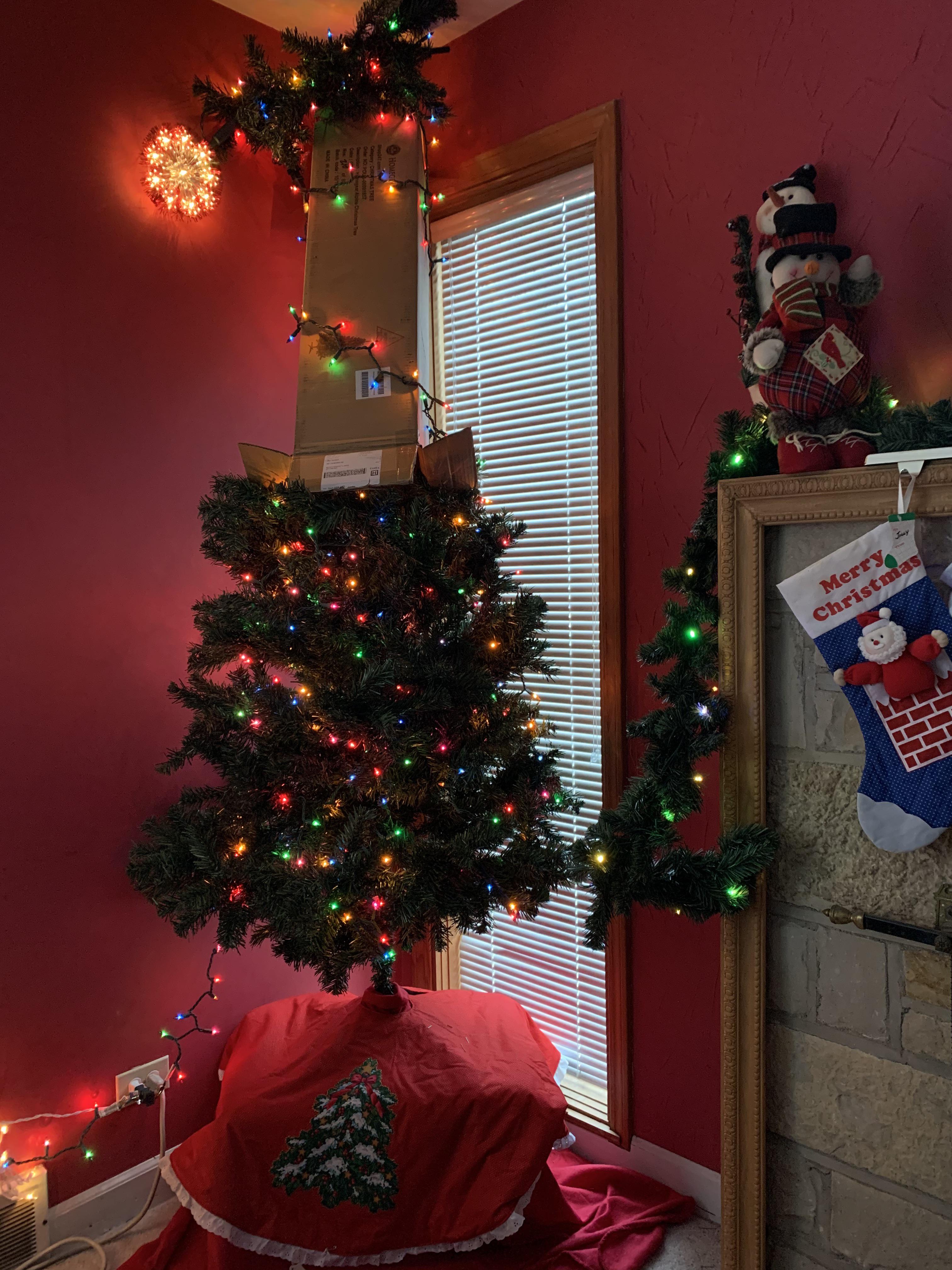 Tree top broke. We improvised. 2020. Scrolller