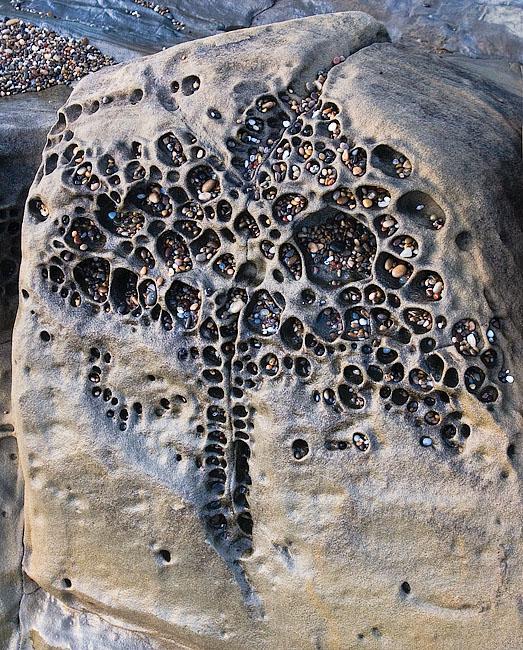Umbrella tree formation with little beach pebbles Scrolller