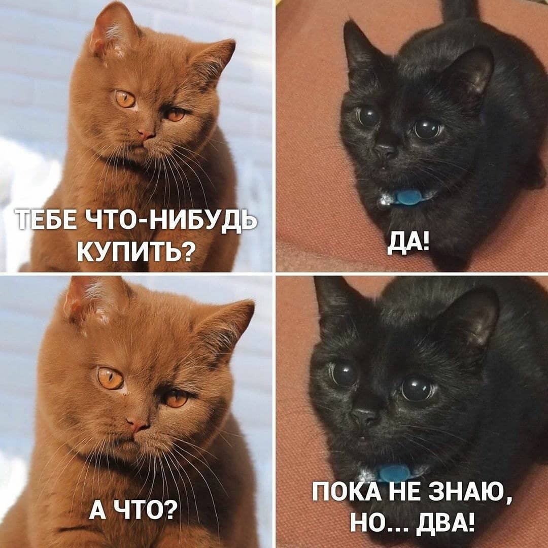 Тебе что-нибудь купить? | Scrolller