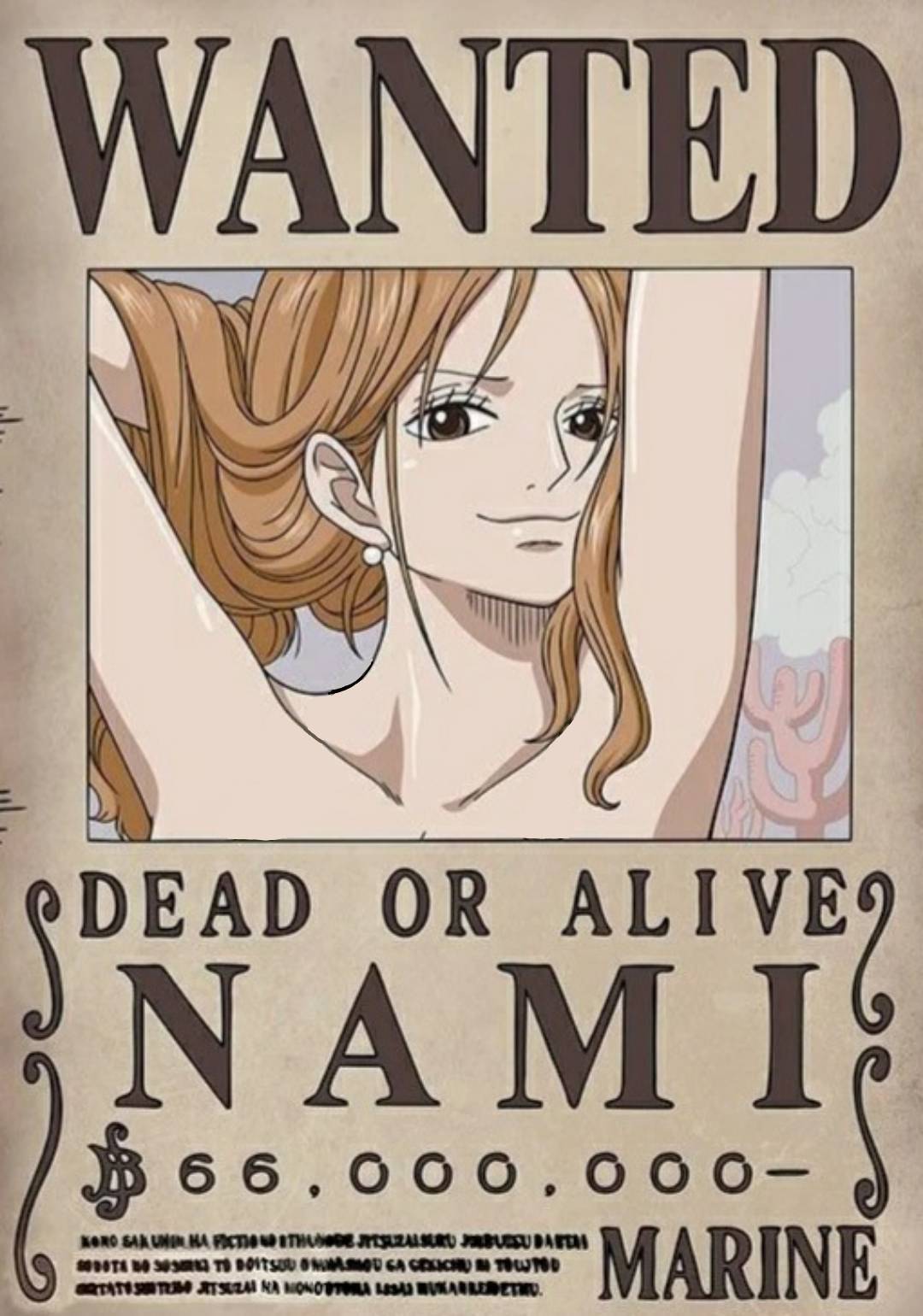 Upon seeing the photographer, Nami had an idea to increase her bounty ...