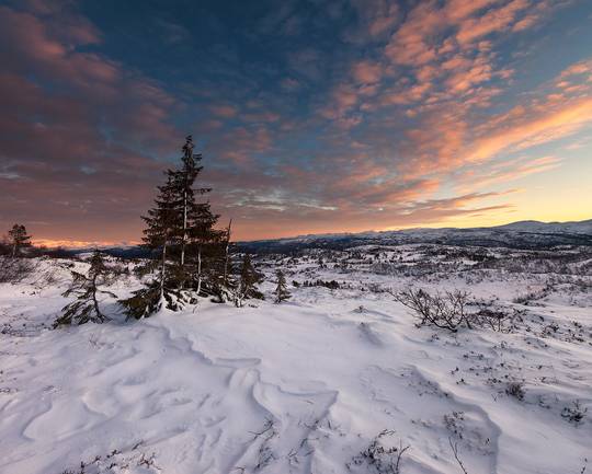 Vast Norwegian winter [OC] ] [1200x962]