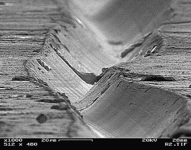 Vinyl Disc Under Microscope [665x520] | Scrolller