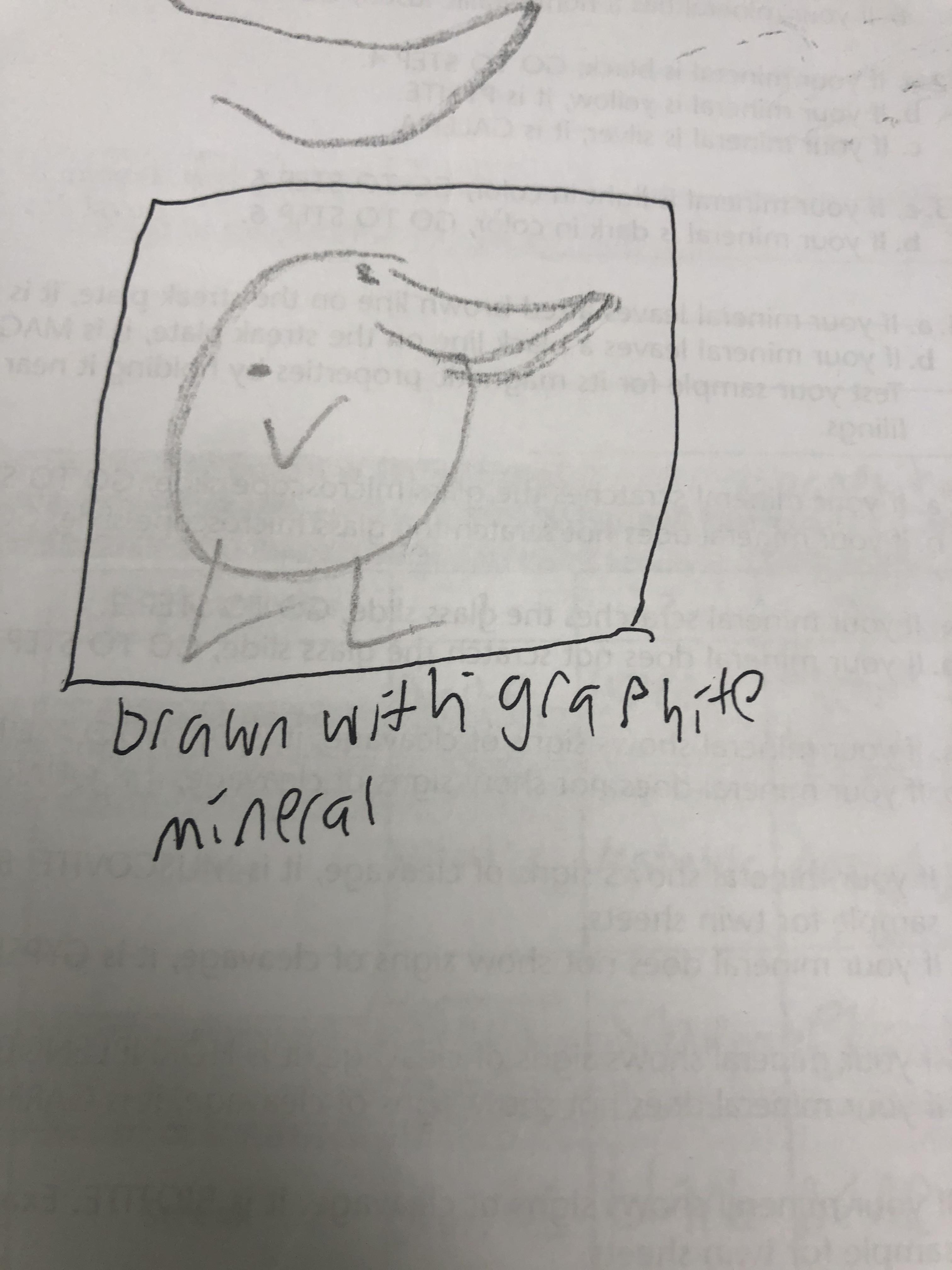 We were doing a science unit about minerals and I used the graphite ...