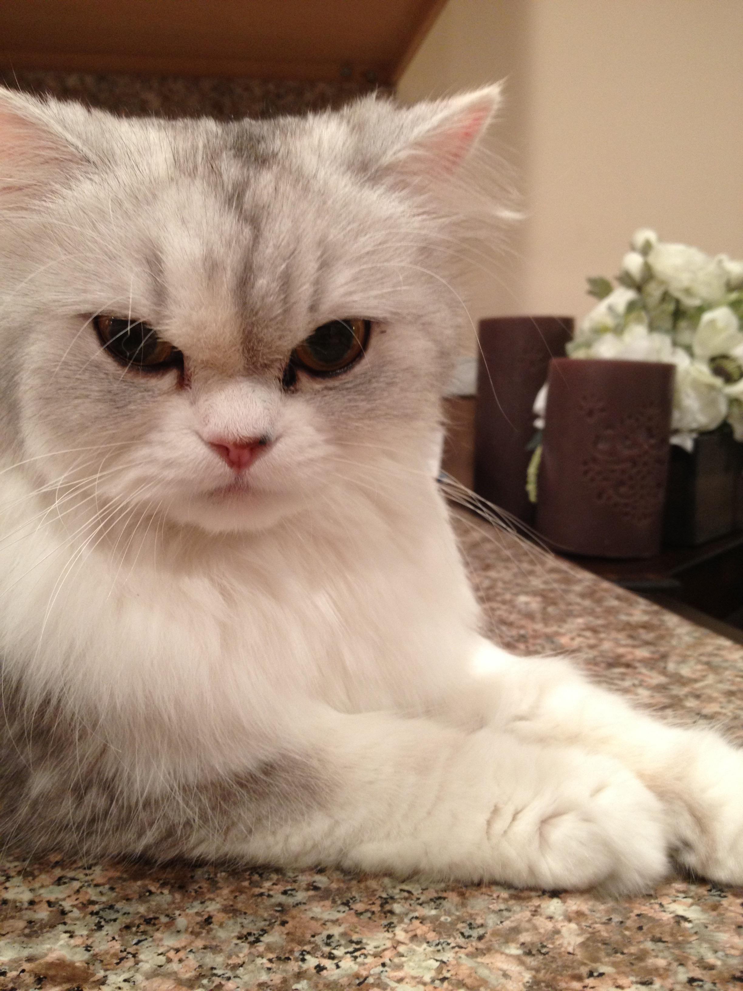 ster's definition of a resting bitch face! Scrolller