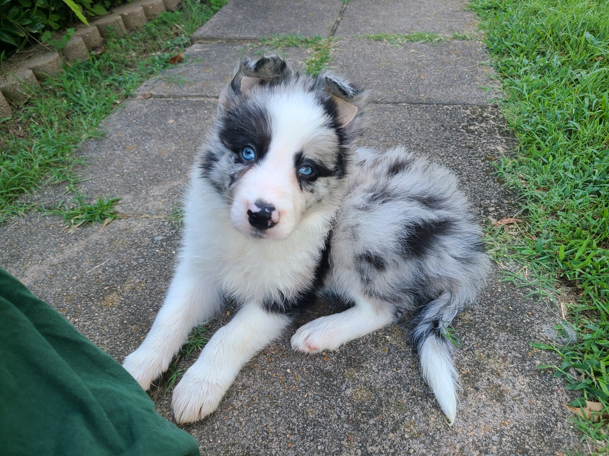 Welcome home, handsome fella! | Scrolller