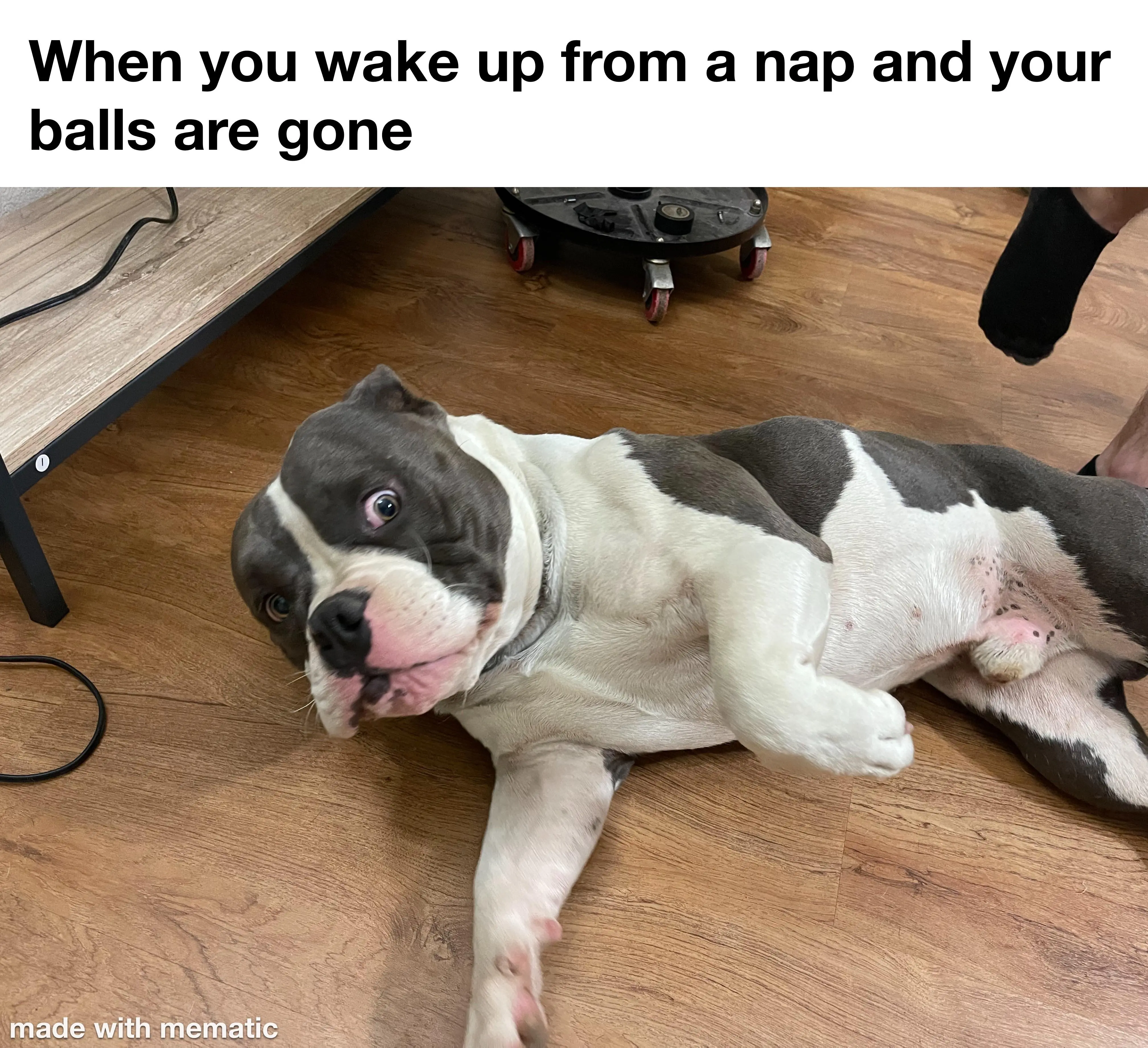 What did you do to me human?