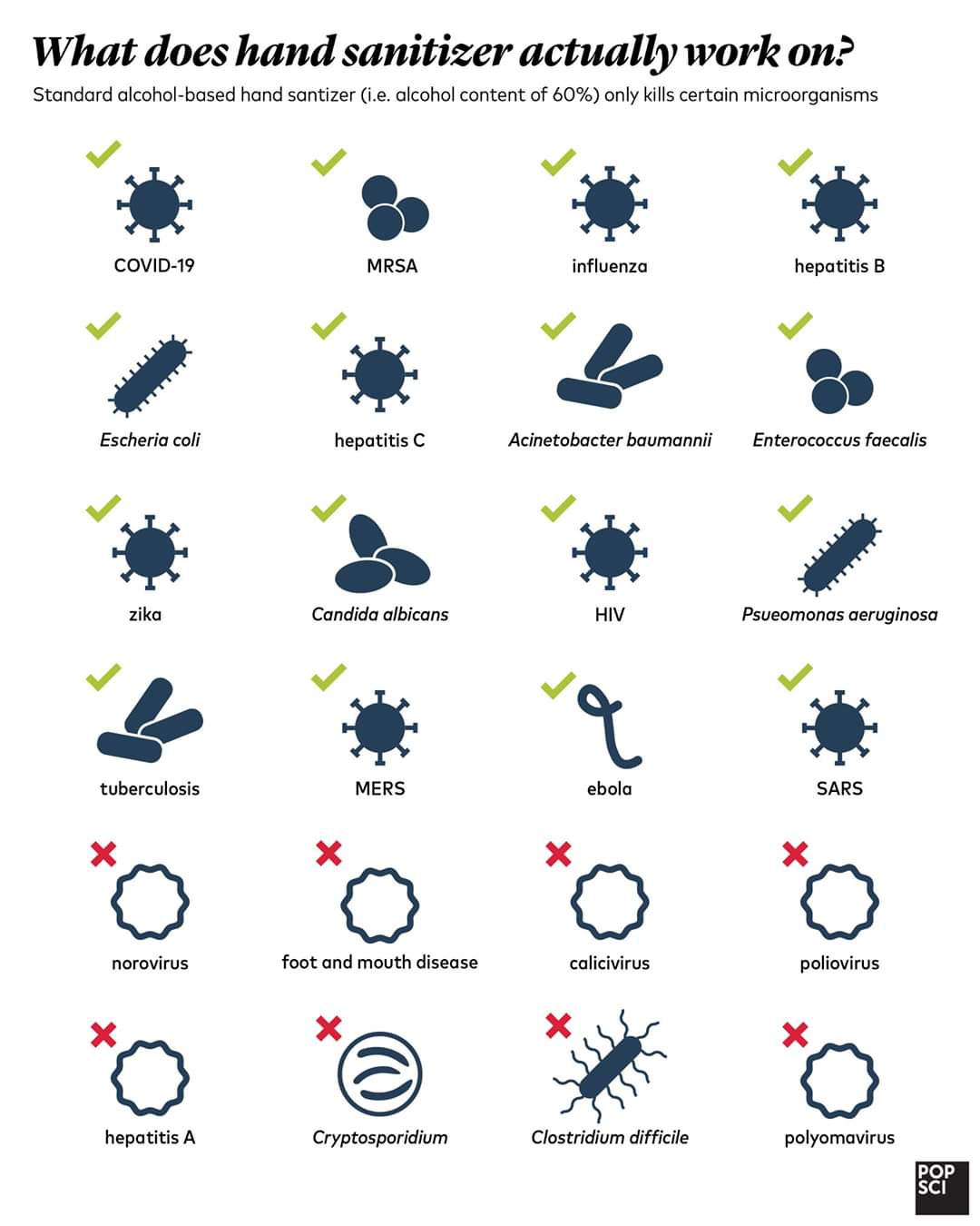 what-do-hand-sanitizers-actually-work-on-popular-science-scrolller