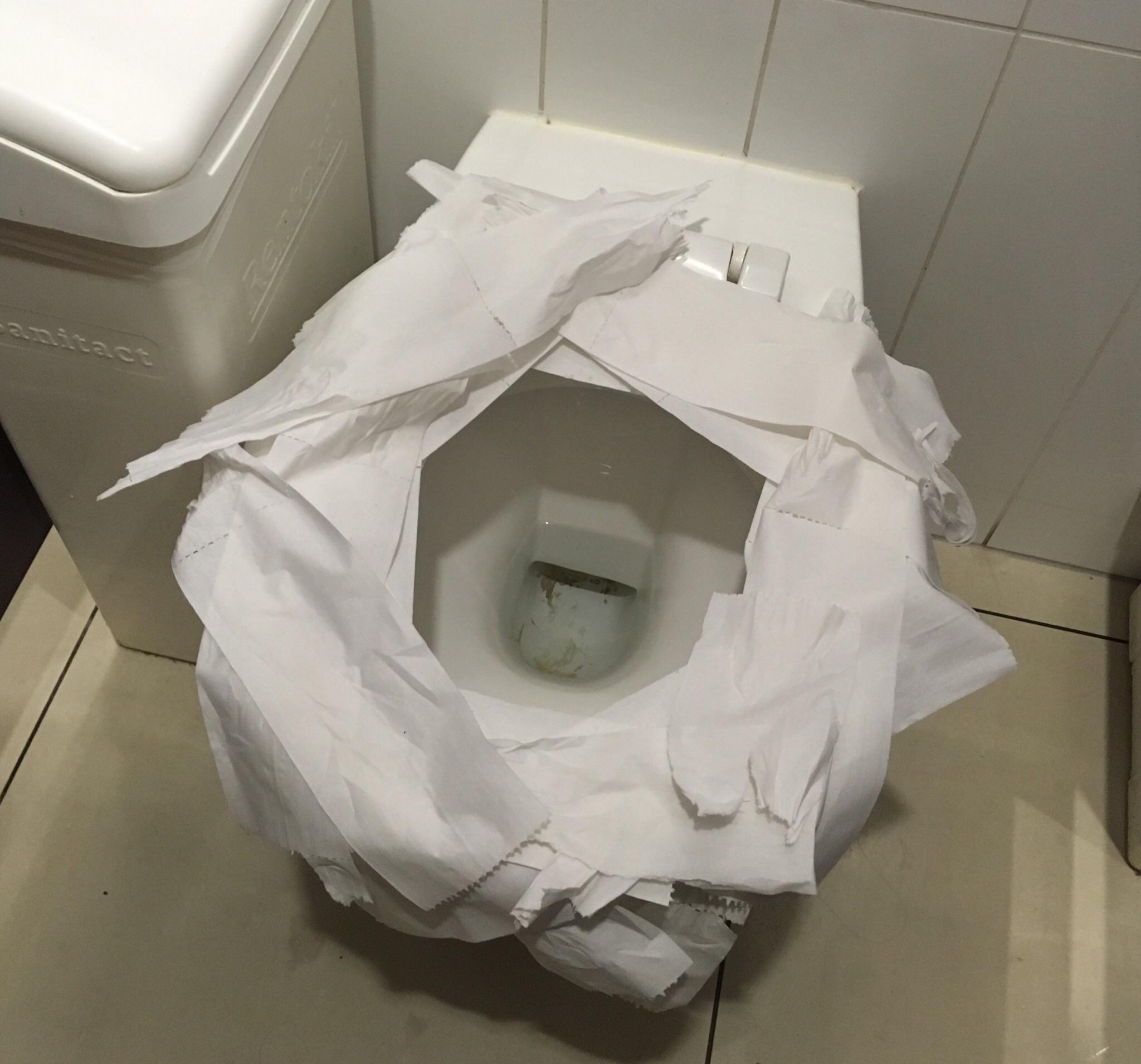 what-do-you-do-before-using-a-public-toilet-do-you-cover-the-seat-with