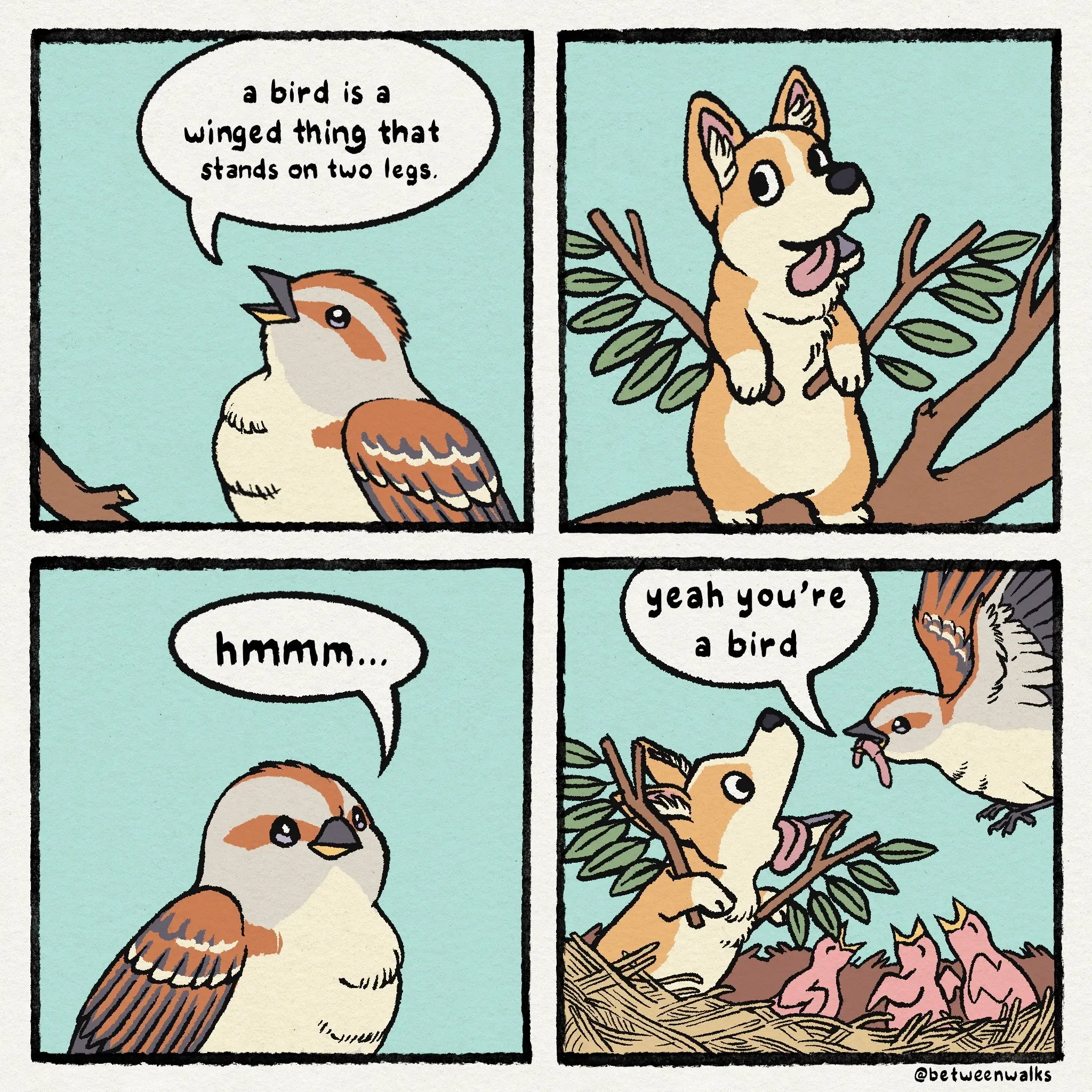 What's a bird?