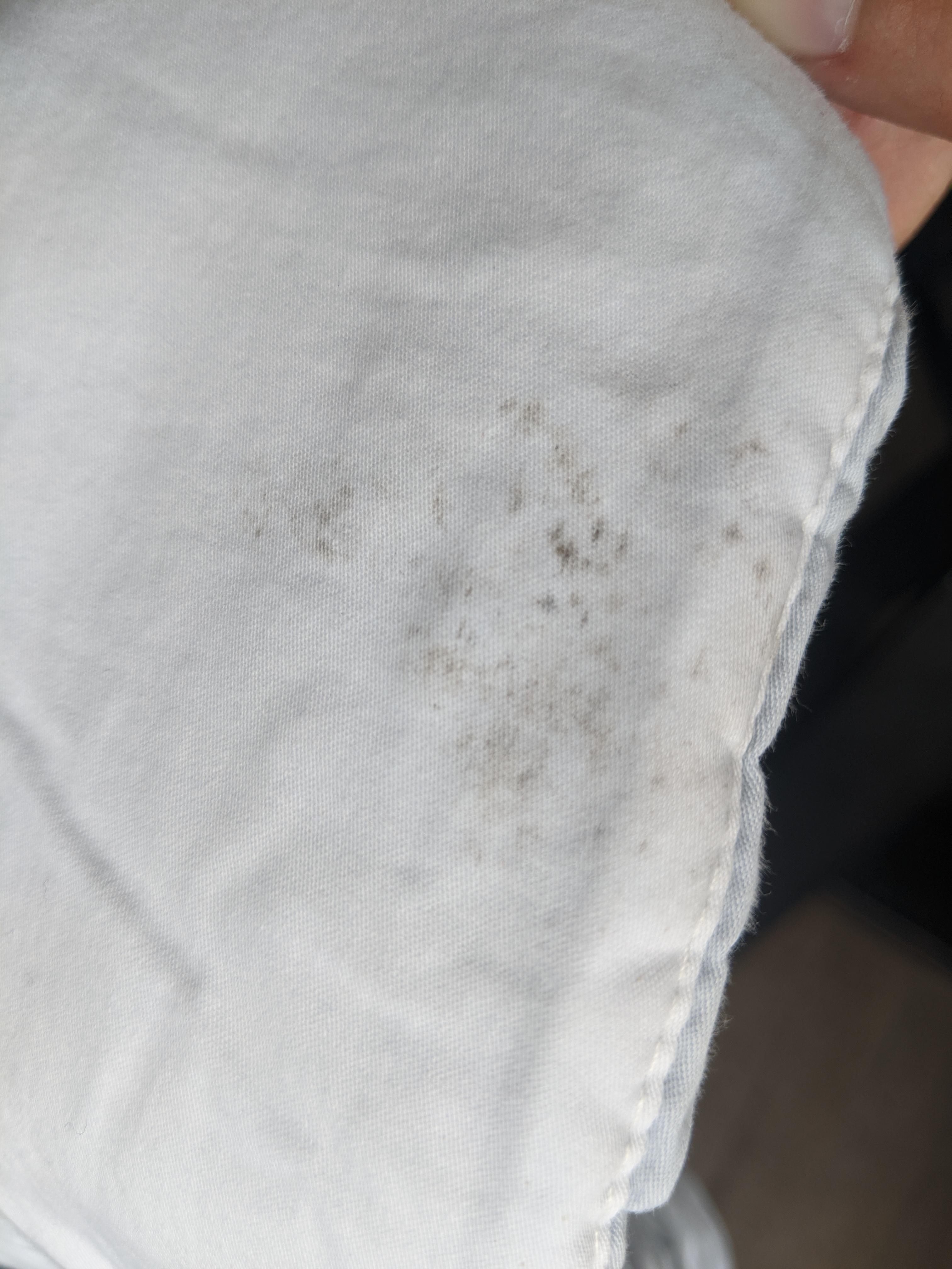 Why do I keep getting spots that look like mold on my clothes after ...