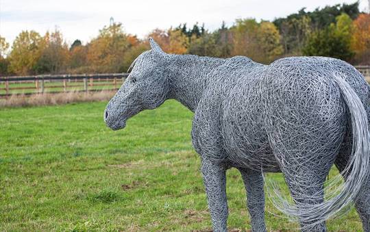 Horse made of wire