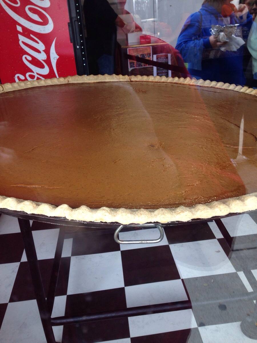 Worlds largest pumpkin pie at the pumpkin show scrolller