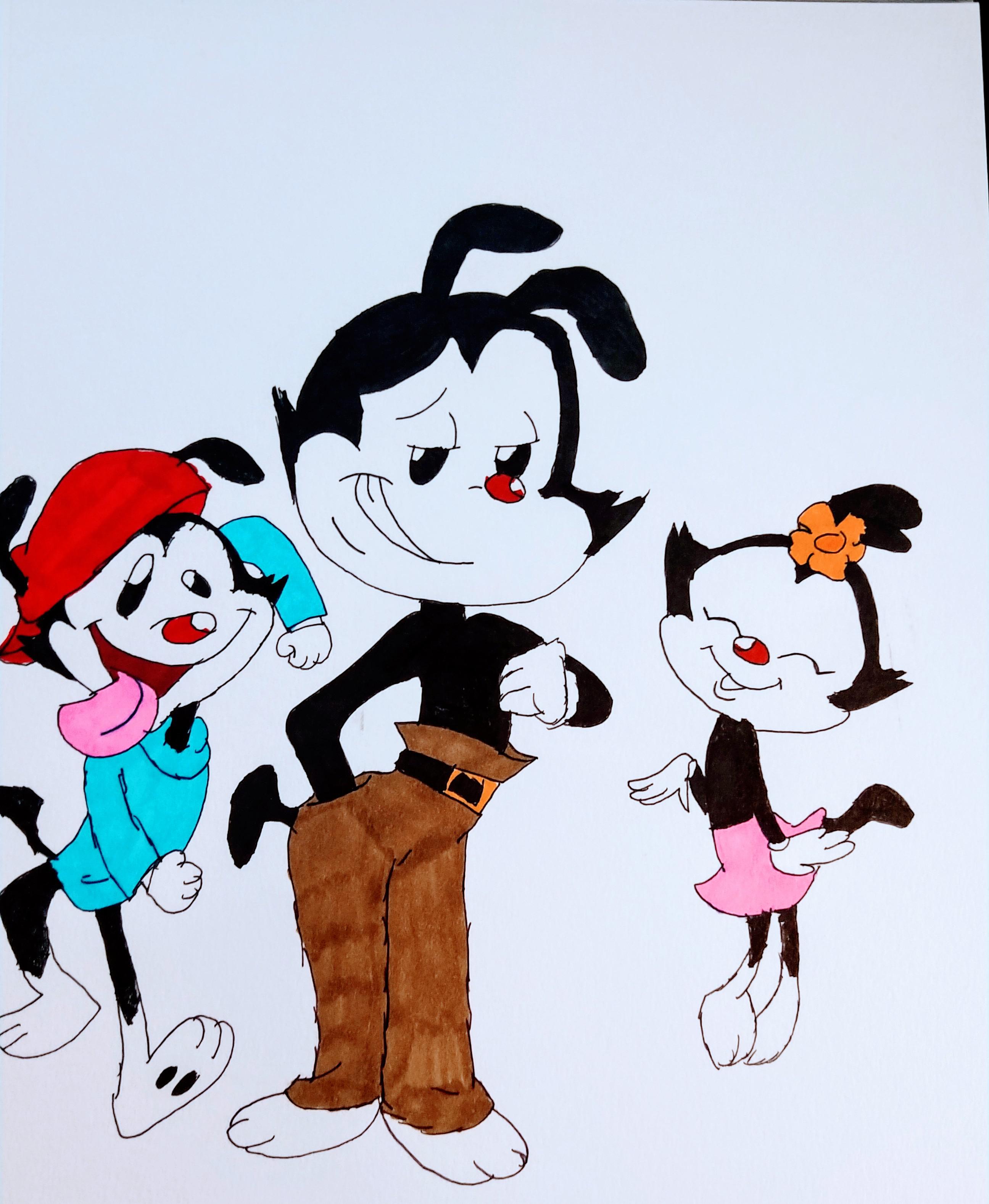 Yakko Wakko And Dot Drawing Scrolller