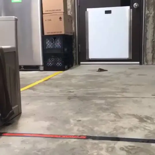 You rang?