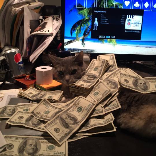 10G Cat