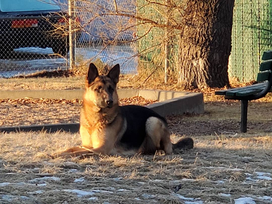 11 months old today