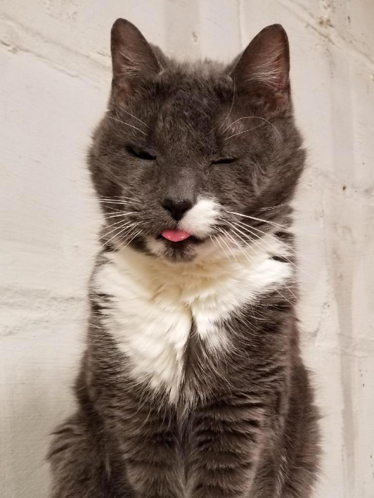 17 year old bleps
