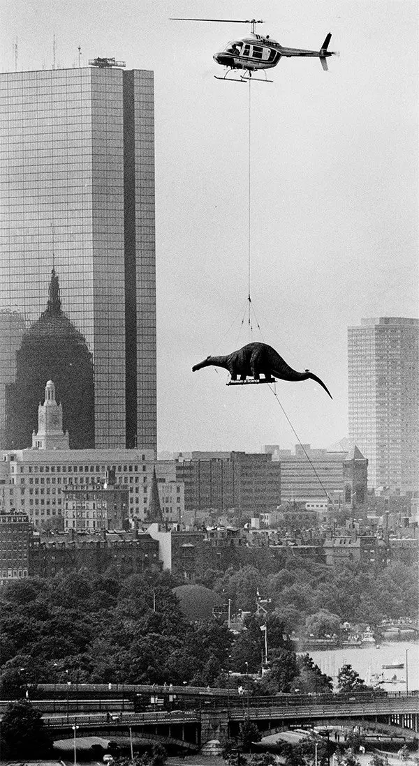 [1984] Flying Brontosaurus is Heading to Museum of Science | Scrolller