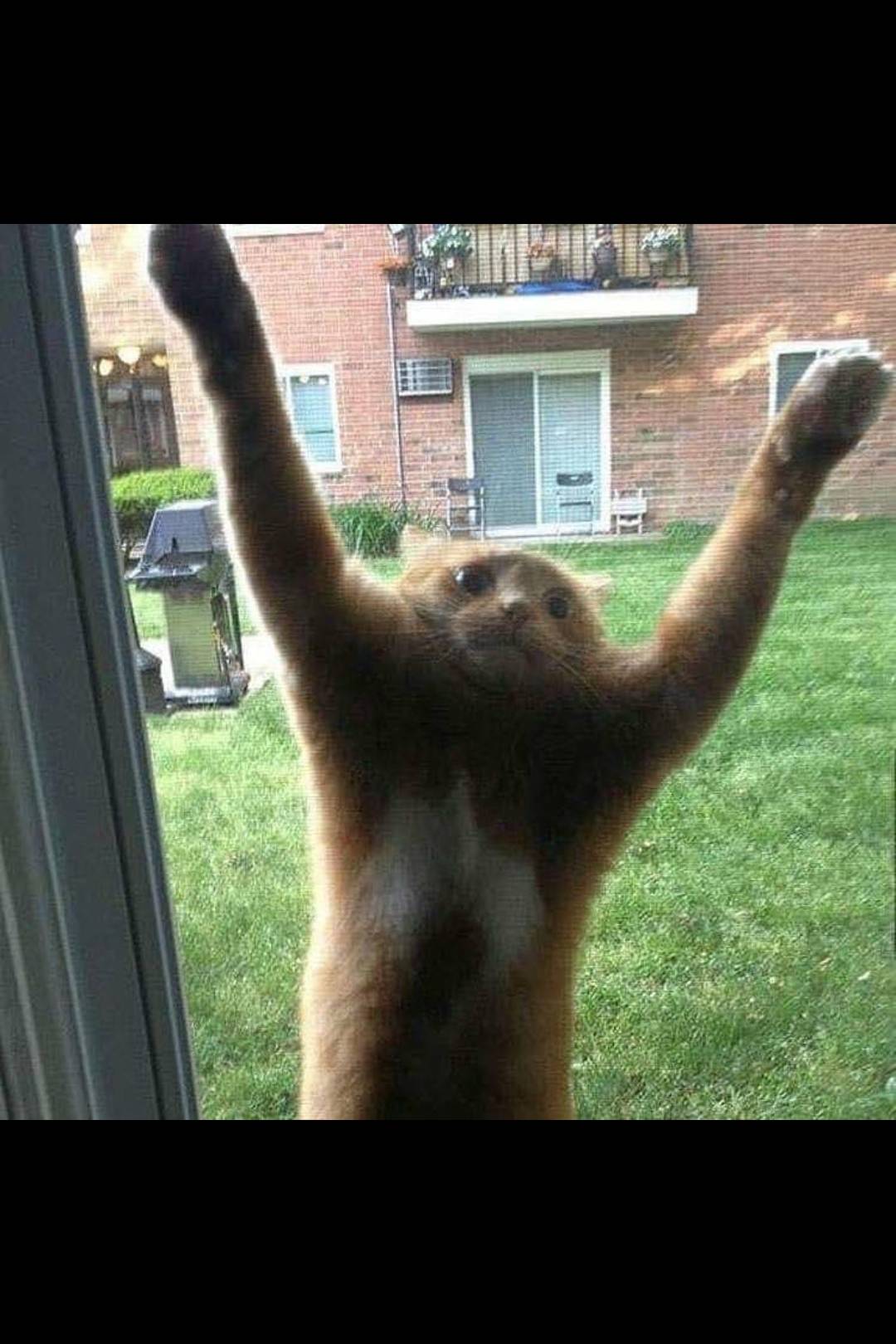 BEYLER BULASIK MAKINESI SIKEN ADAM VIDEOSU ATILMIS BILEN VARSA LINK ...