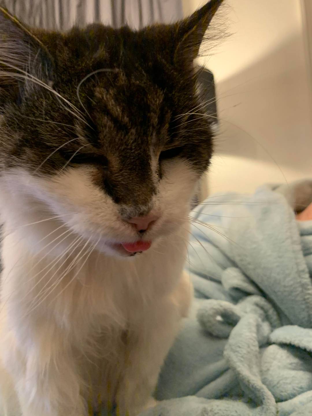 22 year old blep