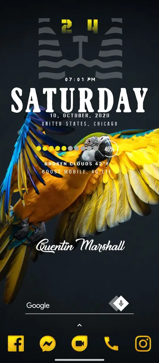 4k aesthetic wallpaper of a colorful macaw on a smartphone home screen interface