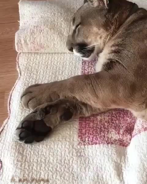 5 more minutes please