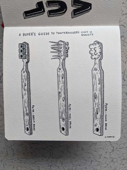 A Buyer's Guide To Toothbrushers: Cost vs Quality