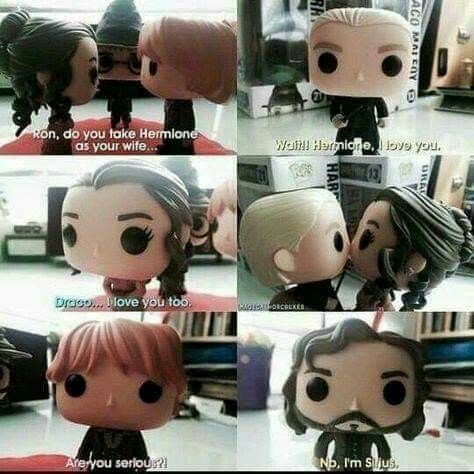 A cute meme for all Dramione fans! Karma please