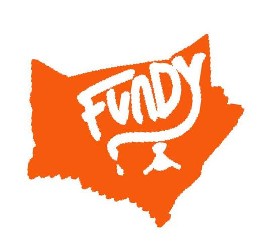 A Fundy logo