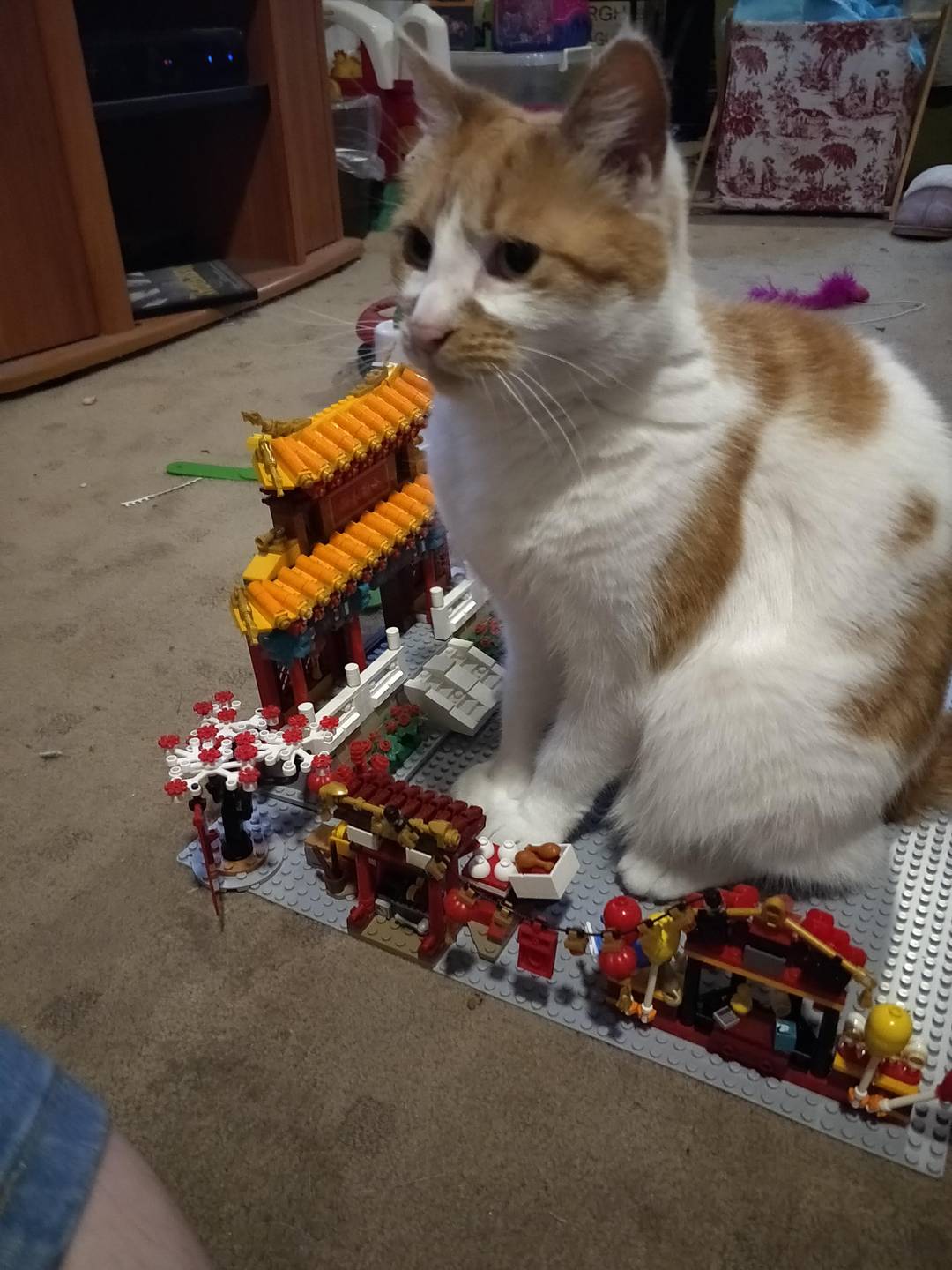 A giant cat attacks a Chinese festival