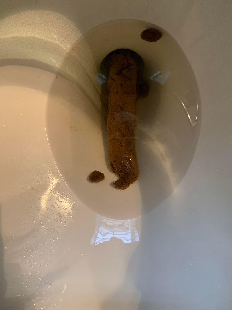 A giant poop that comes out a 5’4” 104 lb girl