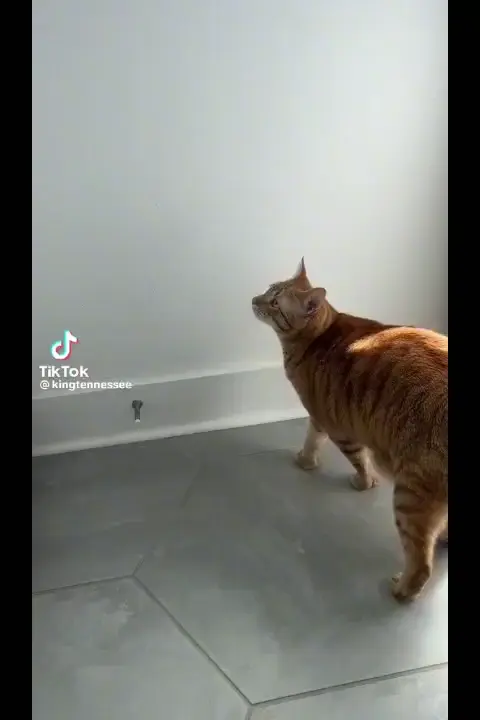 a lot to consider before jumping