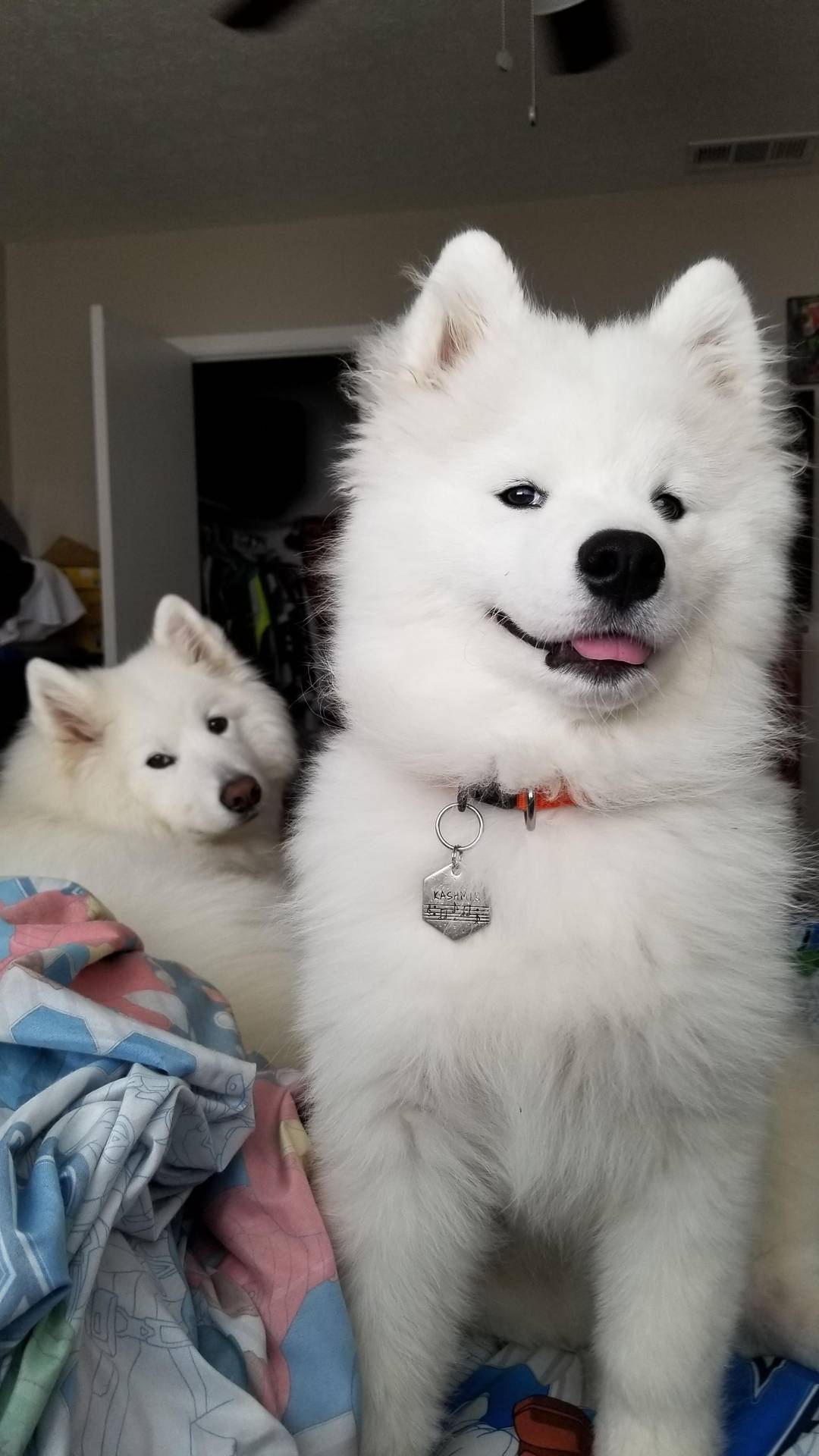 A rare moment of double cuddles!