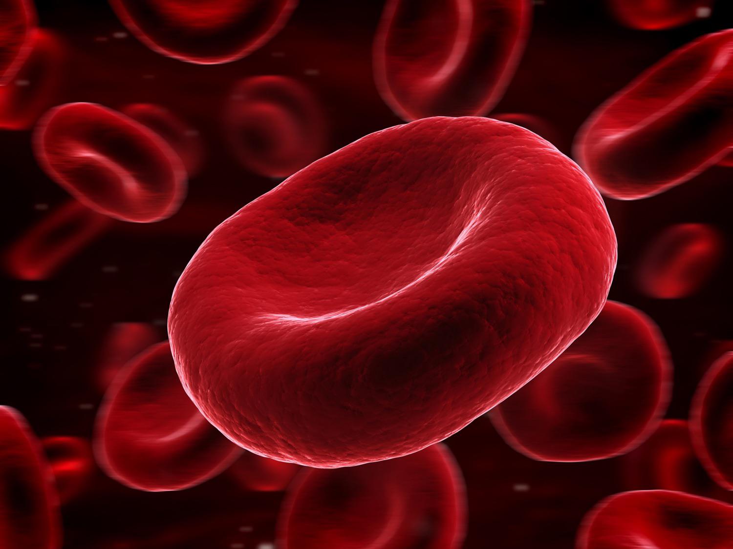 “A recent study found that watching a horror movie literally makes your blood thicken by increasing a blood clotting protein called Factor VIII. The clotting factor level increased in 57% of participants during the horror movie.”