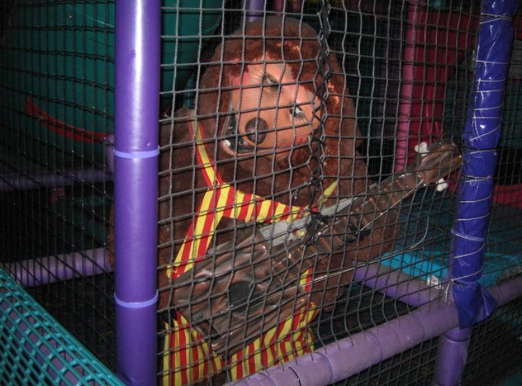 Abandoned billy bob